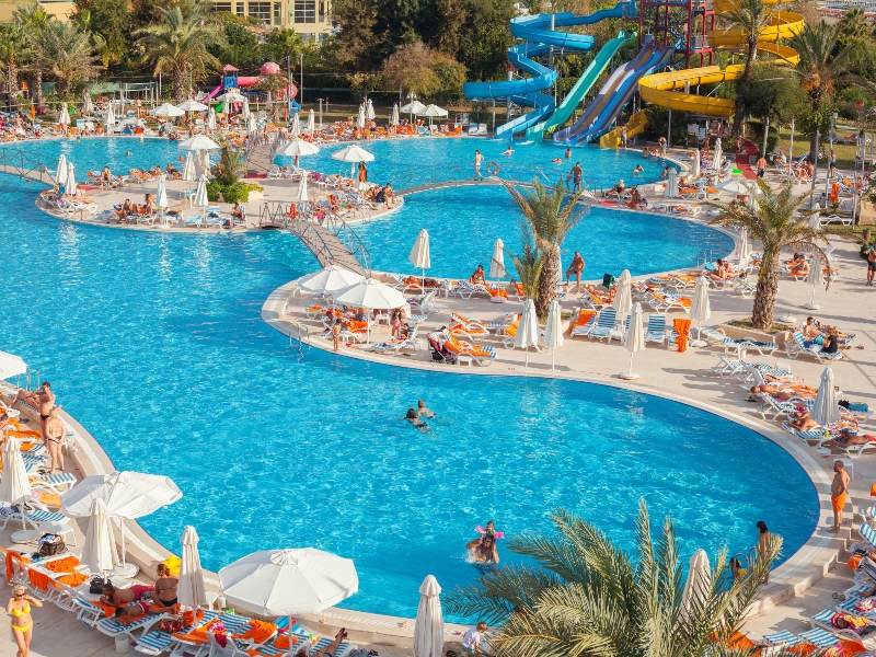 �������... ������ �������� ������ ����� أنط%D